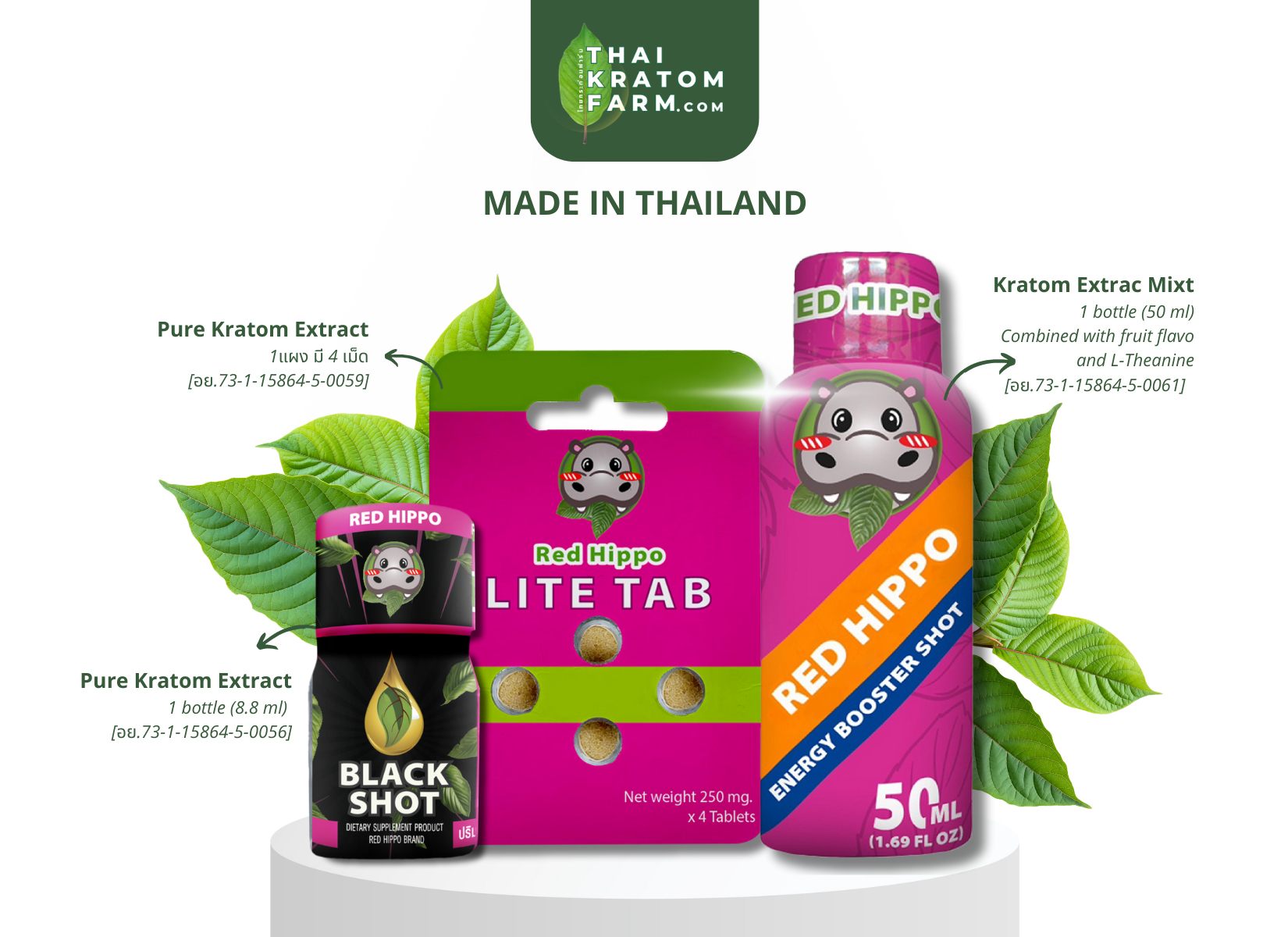 สรรพคุณของกระท่อม (Kratom)